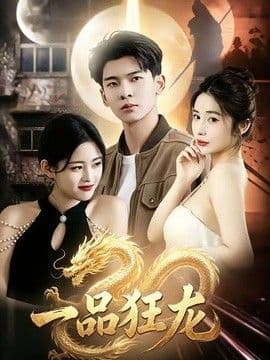 一品狂龙海报