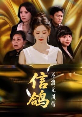 信鸽不渡无风带海报