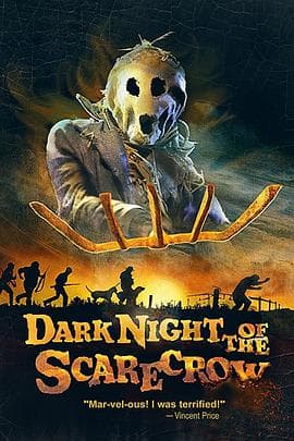 稻草人的黑夜海报